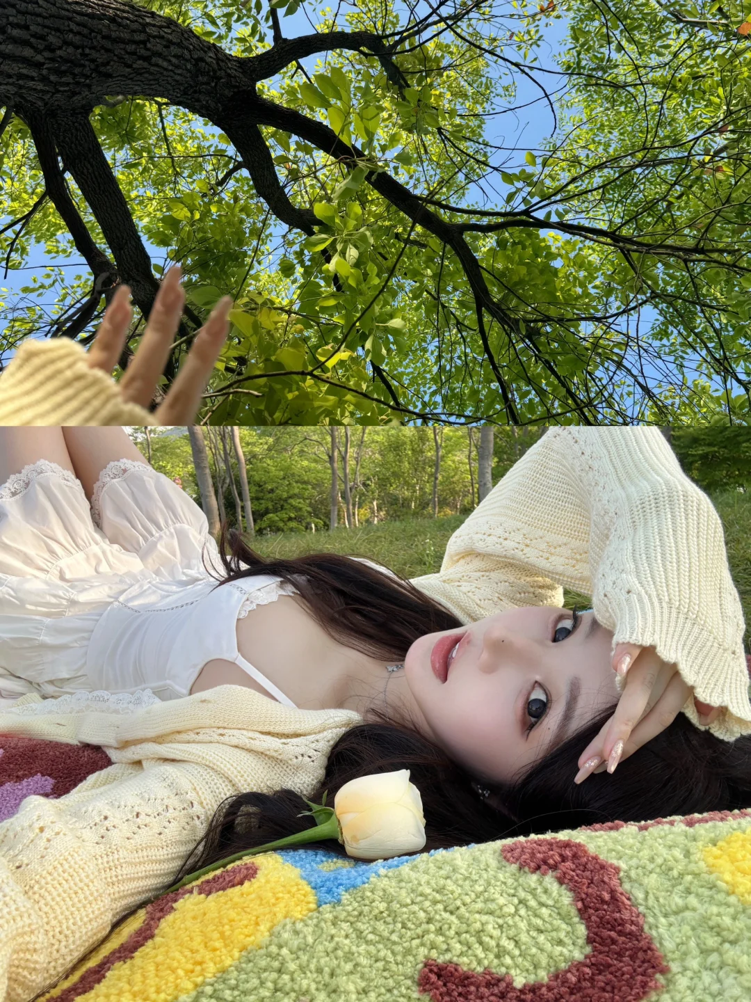 🍋🌼