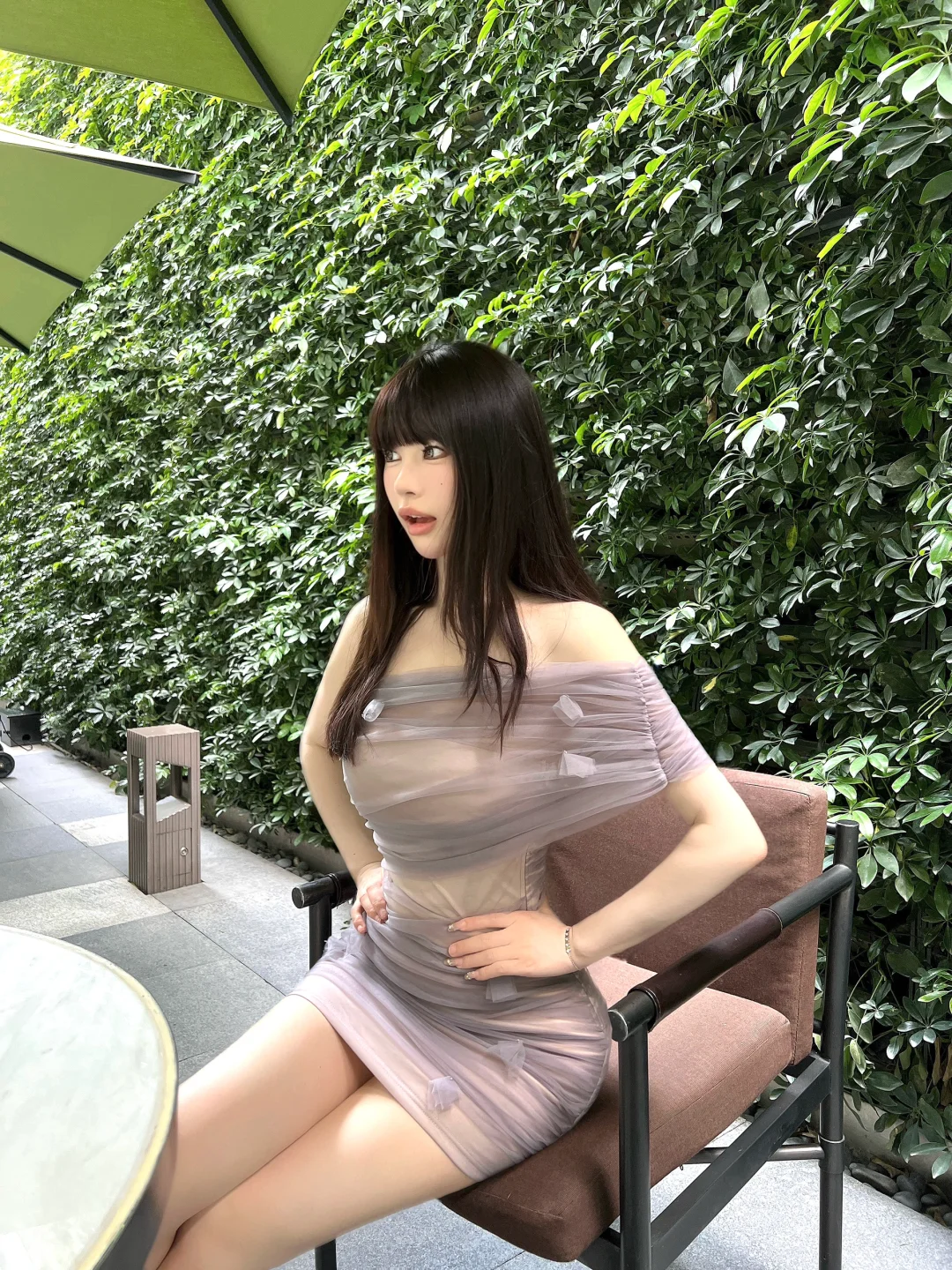 🍃 🍃 🍃