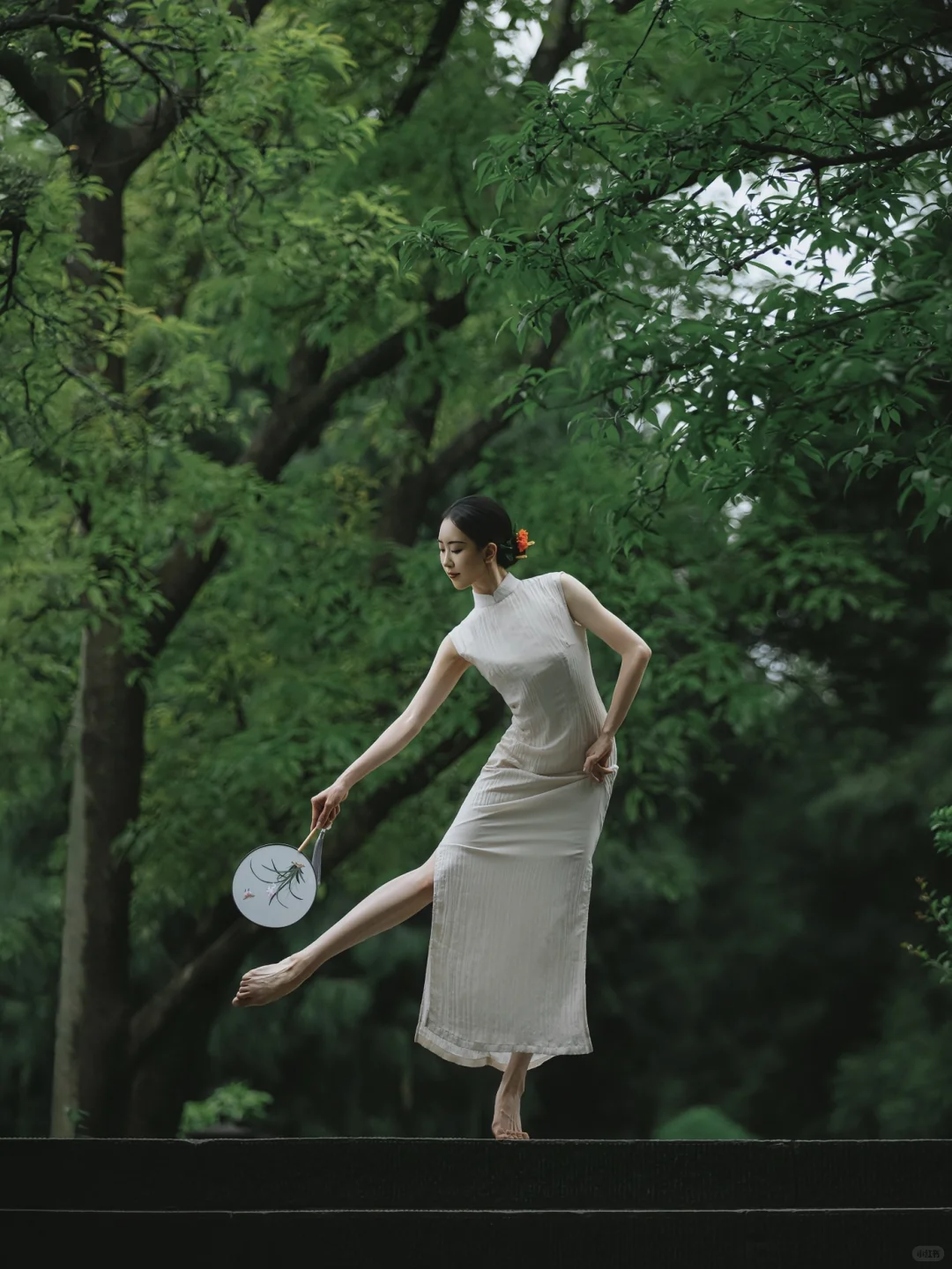 新中式写真🩰｜红墙如屏 绿枝如幕🍃