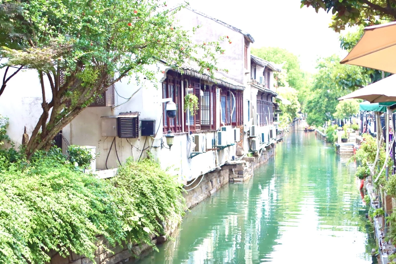 青砖黛瓦×乌篷船｜江南的雨✨⛵️