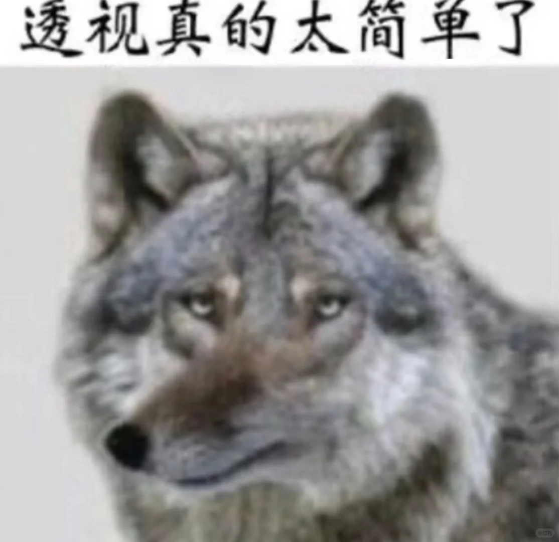 透视真的太简单了😈