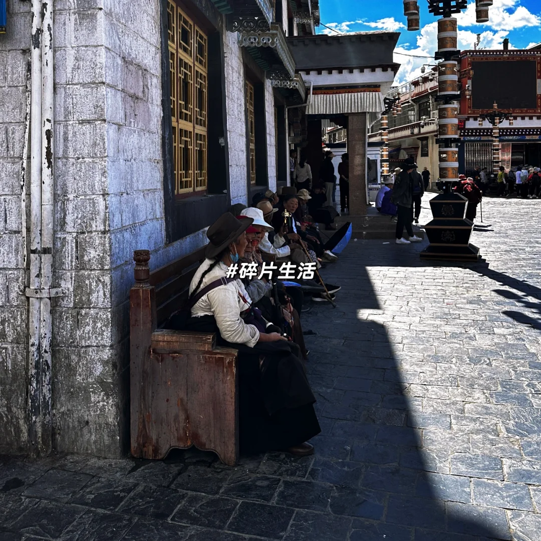 无论生活有多难，也要向阳而生
