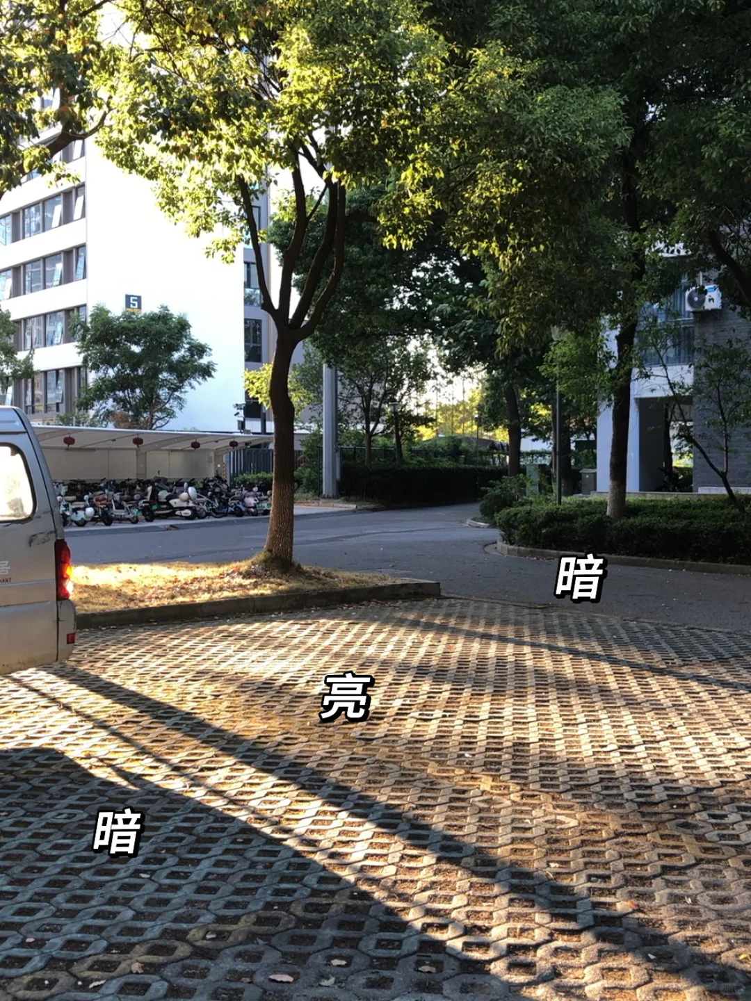 光基础，模特就不基础｜附教程