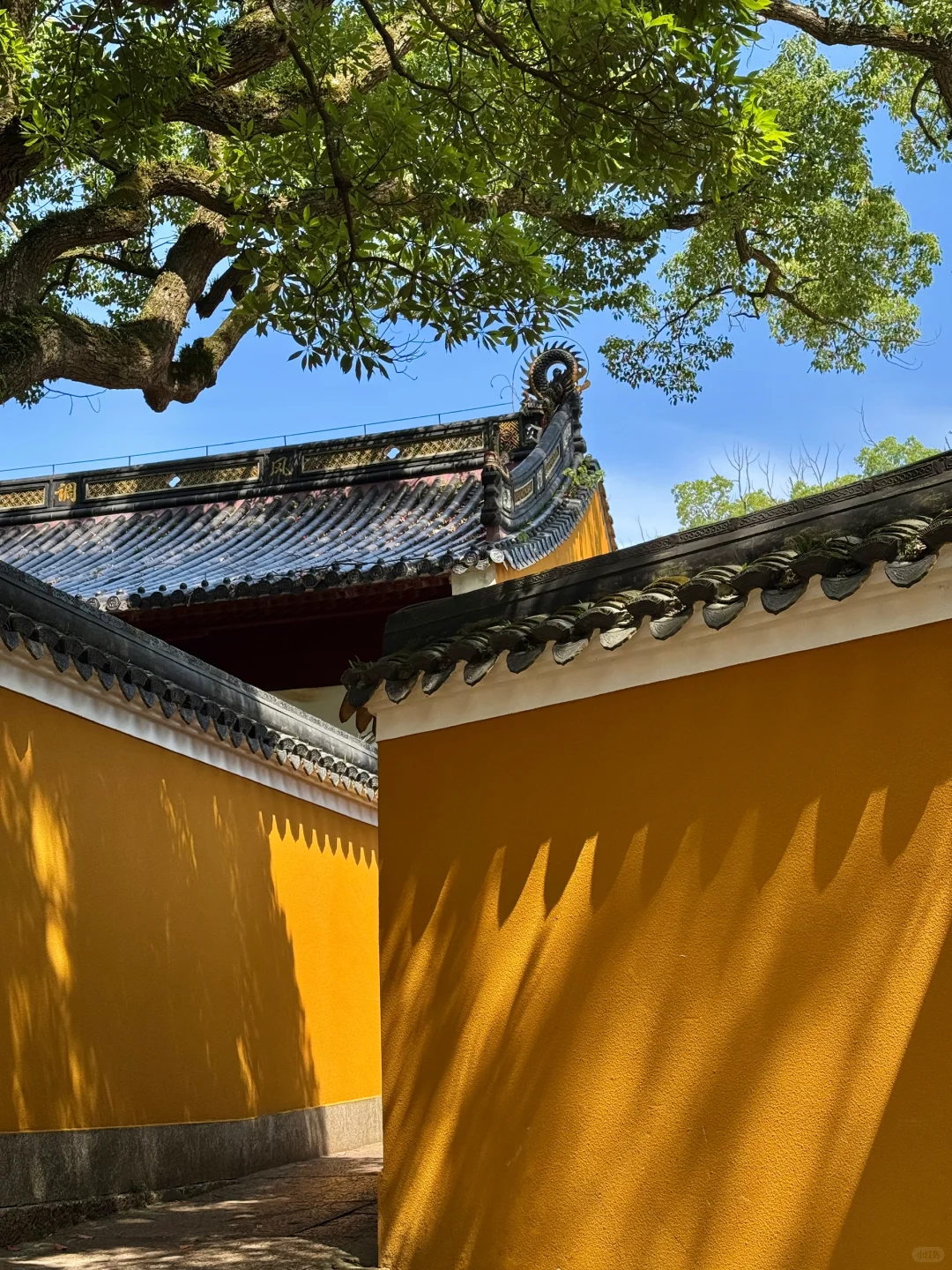 女性的美分七个等级：柔、雅、富、贵、素、俭、仙