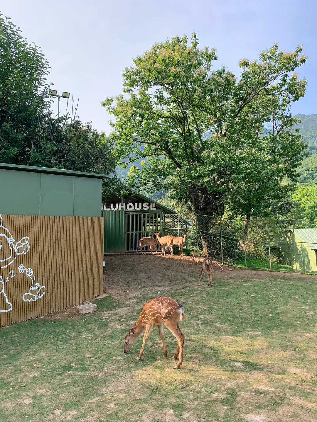 怎么这么热啊 是我183离太阳太近了吗