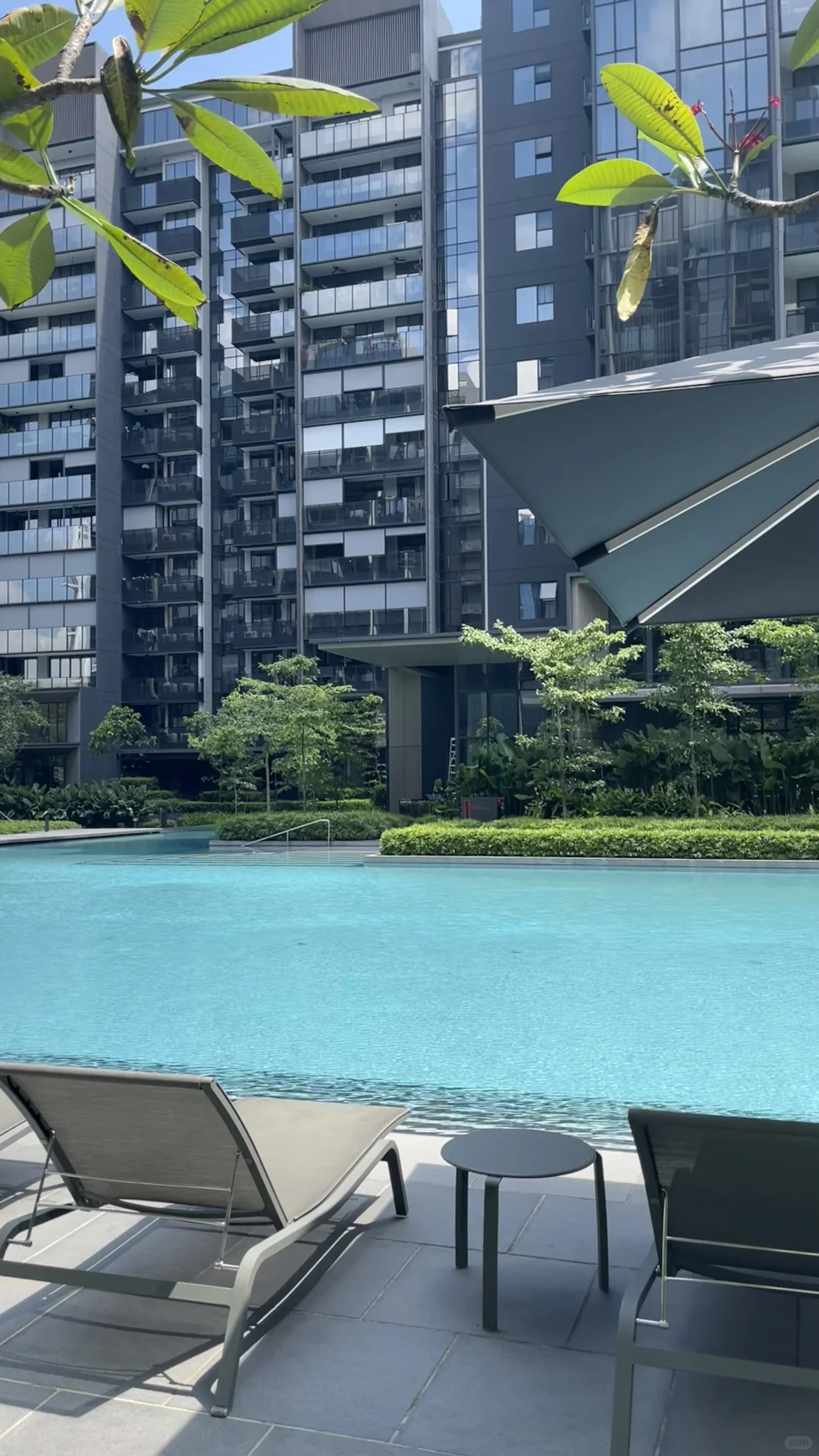 🇸🇬蓝白色的夏天