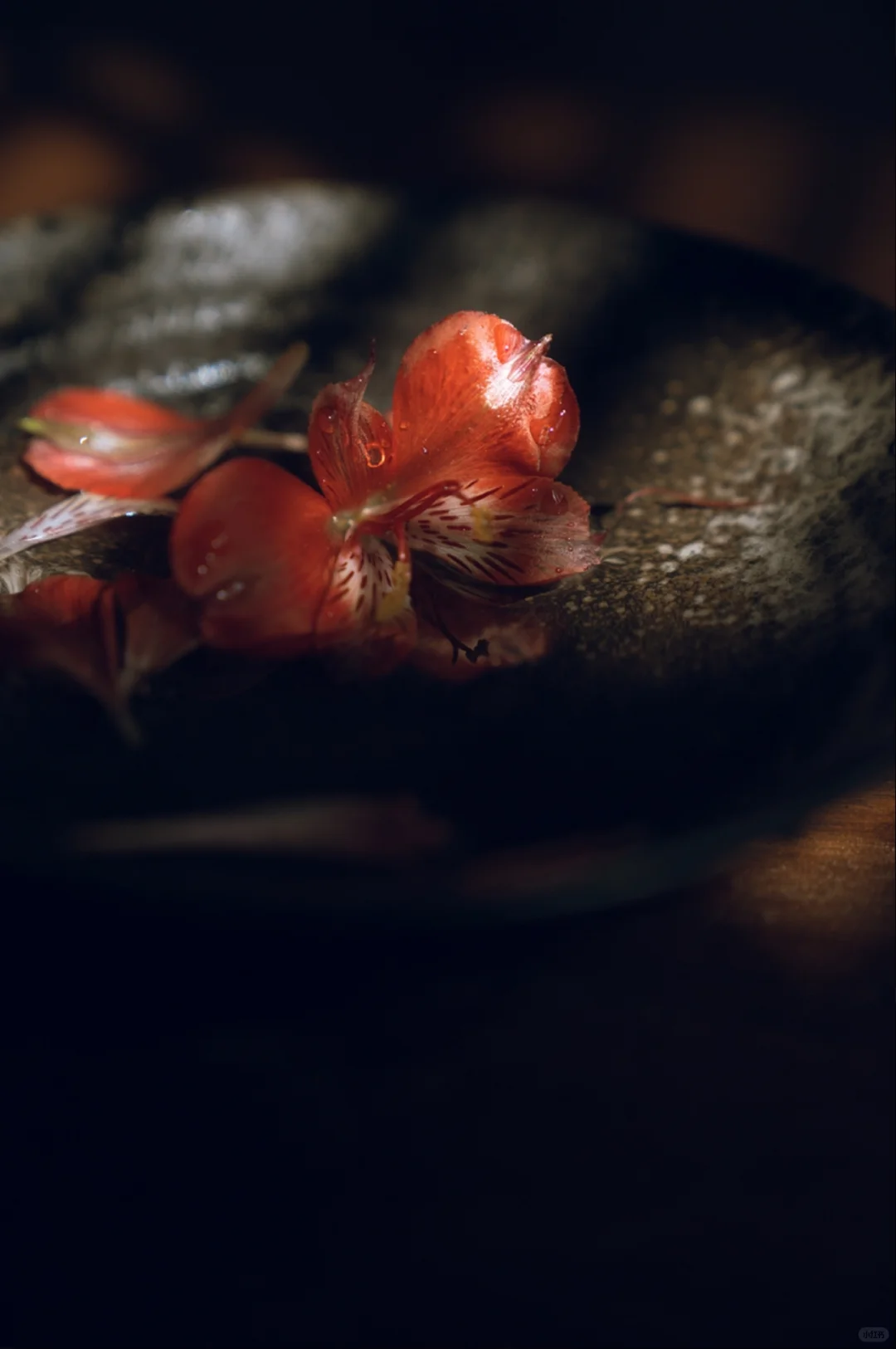 审美提升日记87｜美并不是拍摄📸的目的