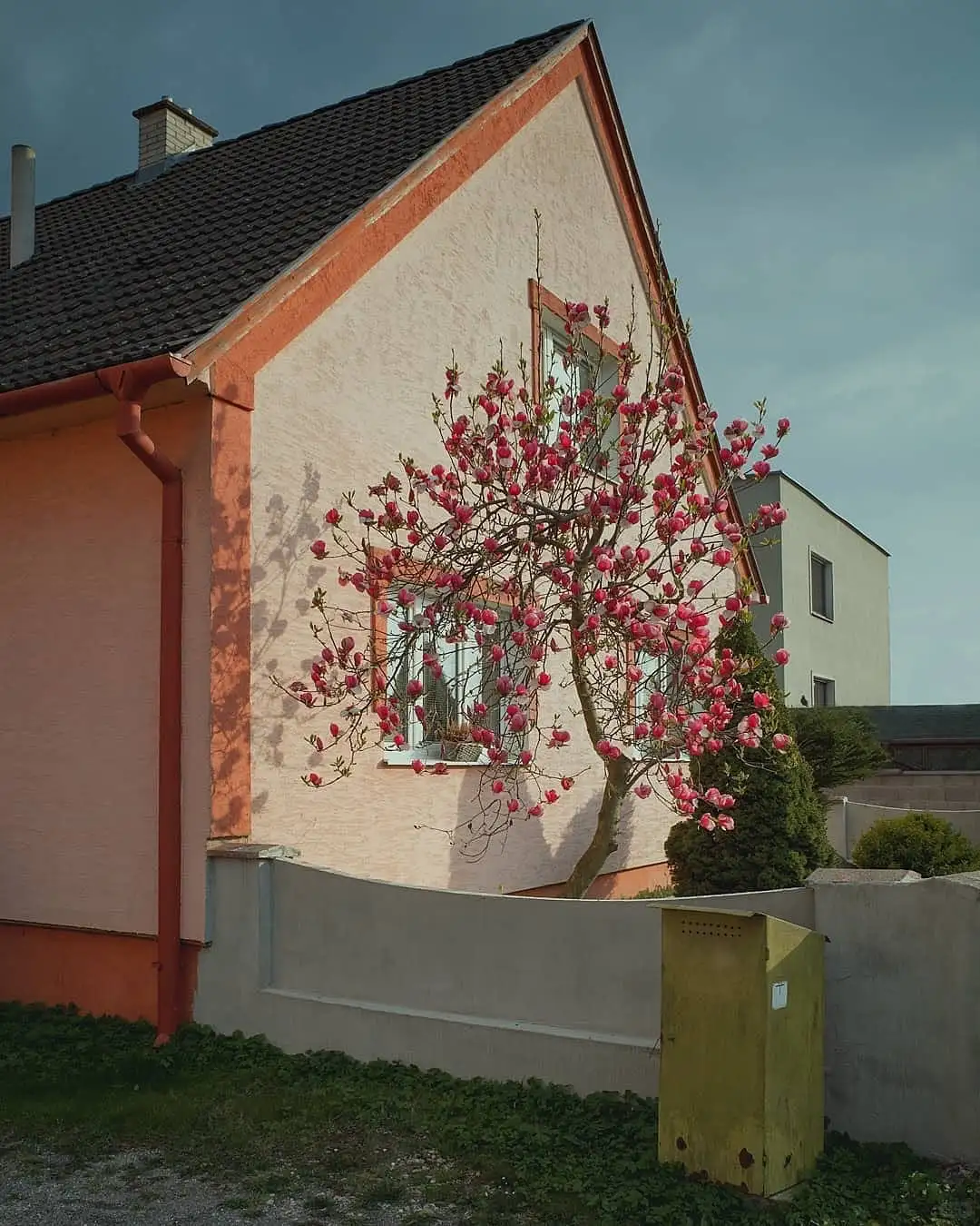 摄影审美·世界之诗从未消亡