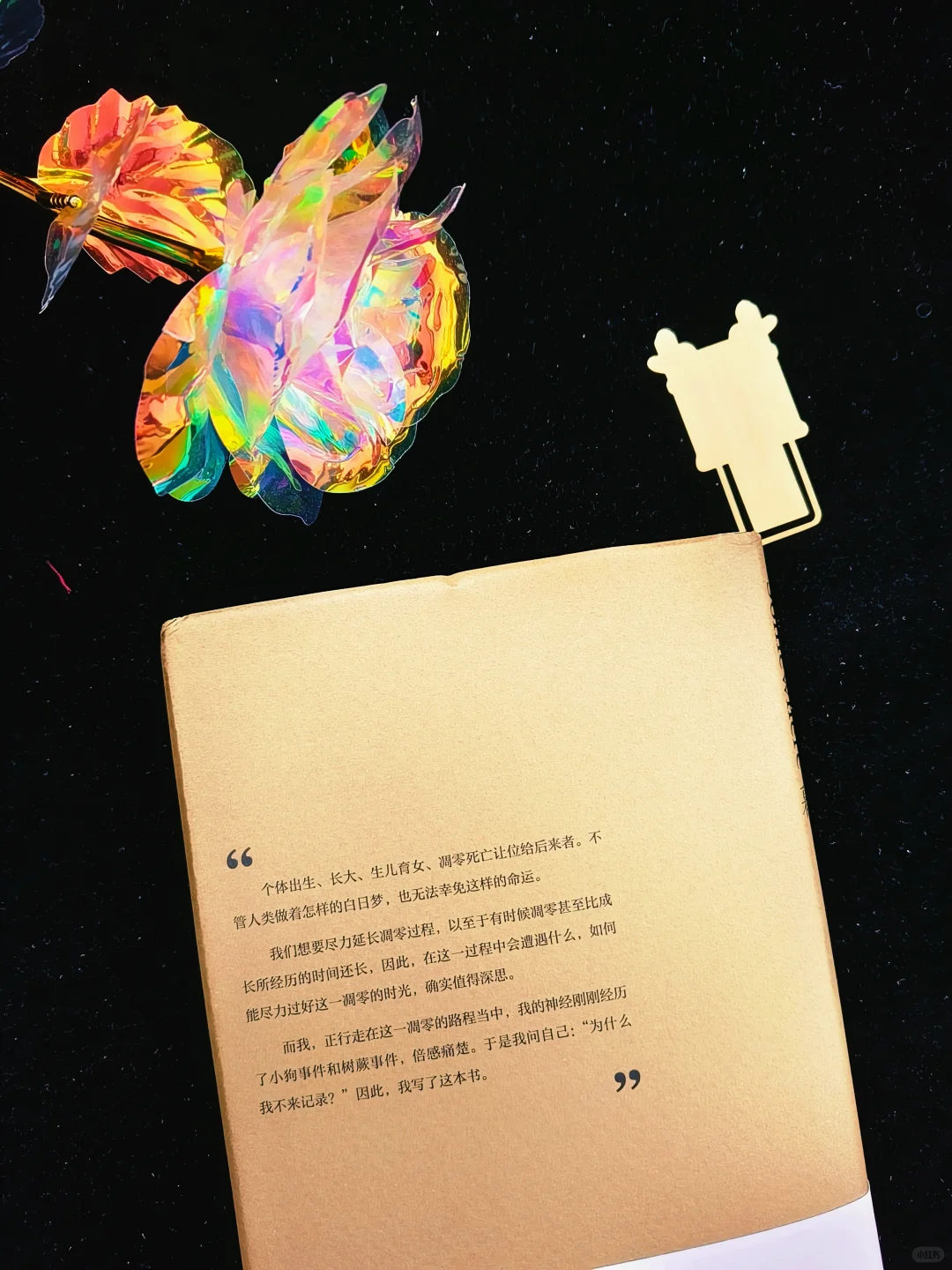 女人即使老去，也要优雅地绽放💟暮色将近