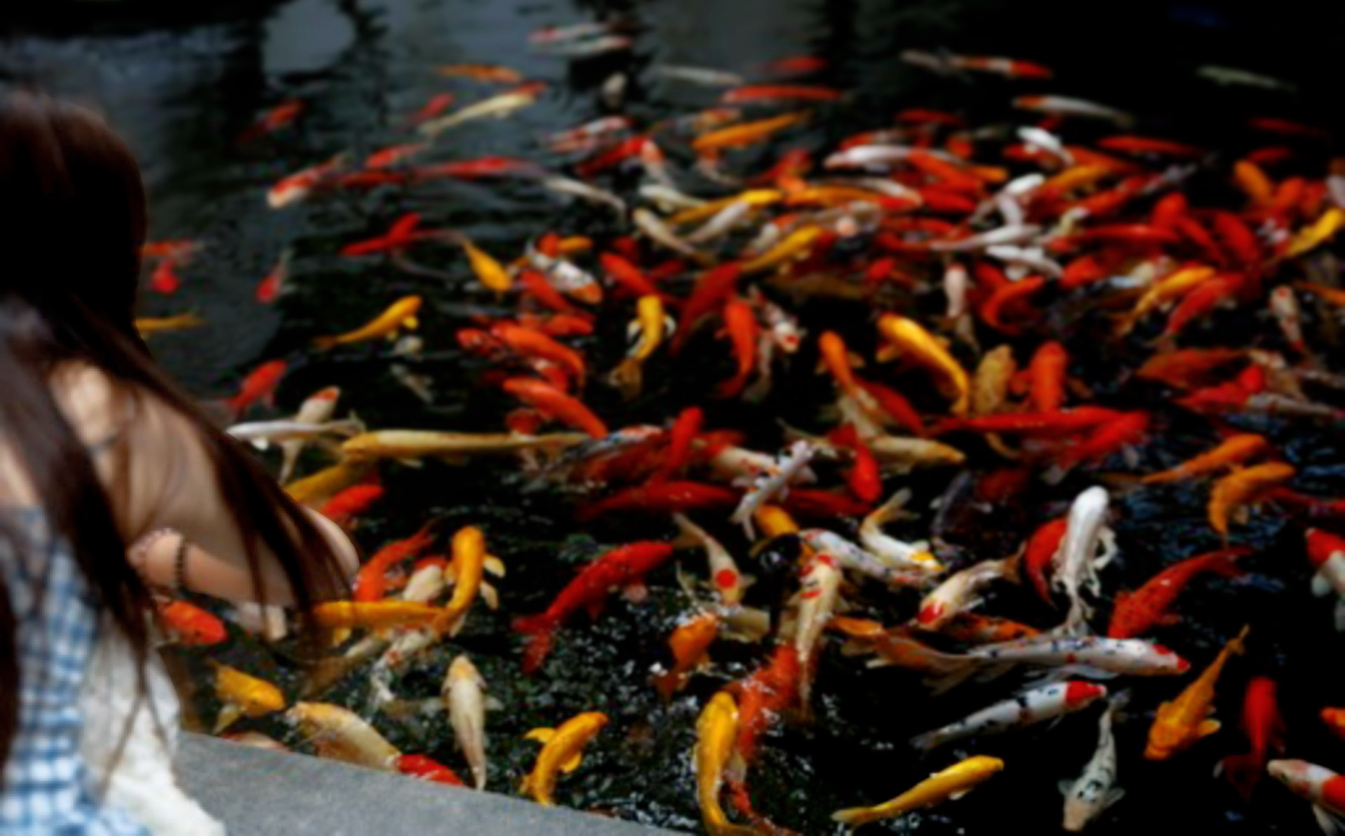 拍成这样就别出来互免了