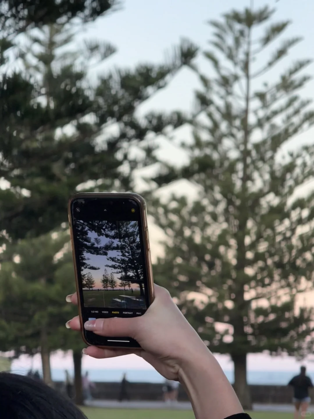 女明星在悉尼被偷拍！