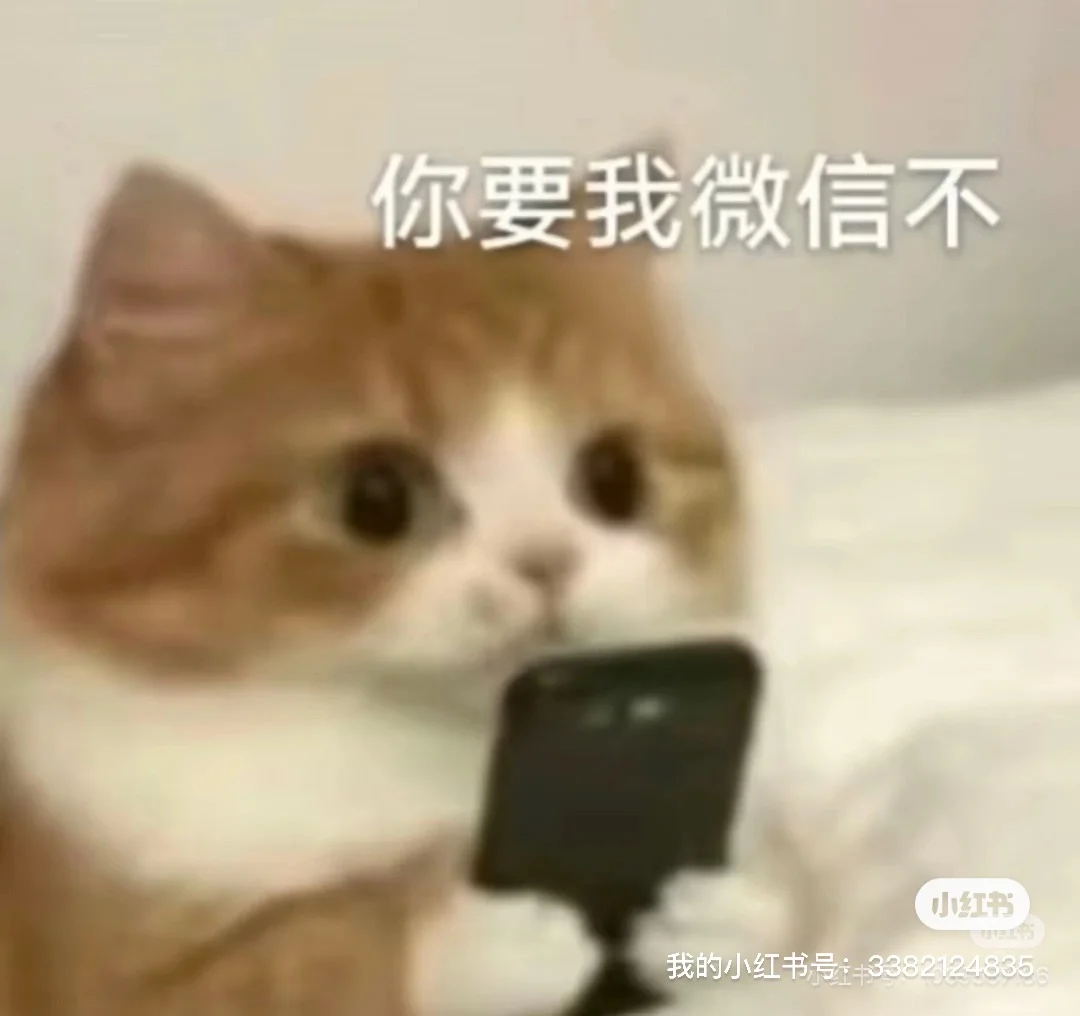 乖乖穿上裙子 就是乘乘