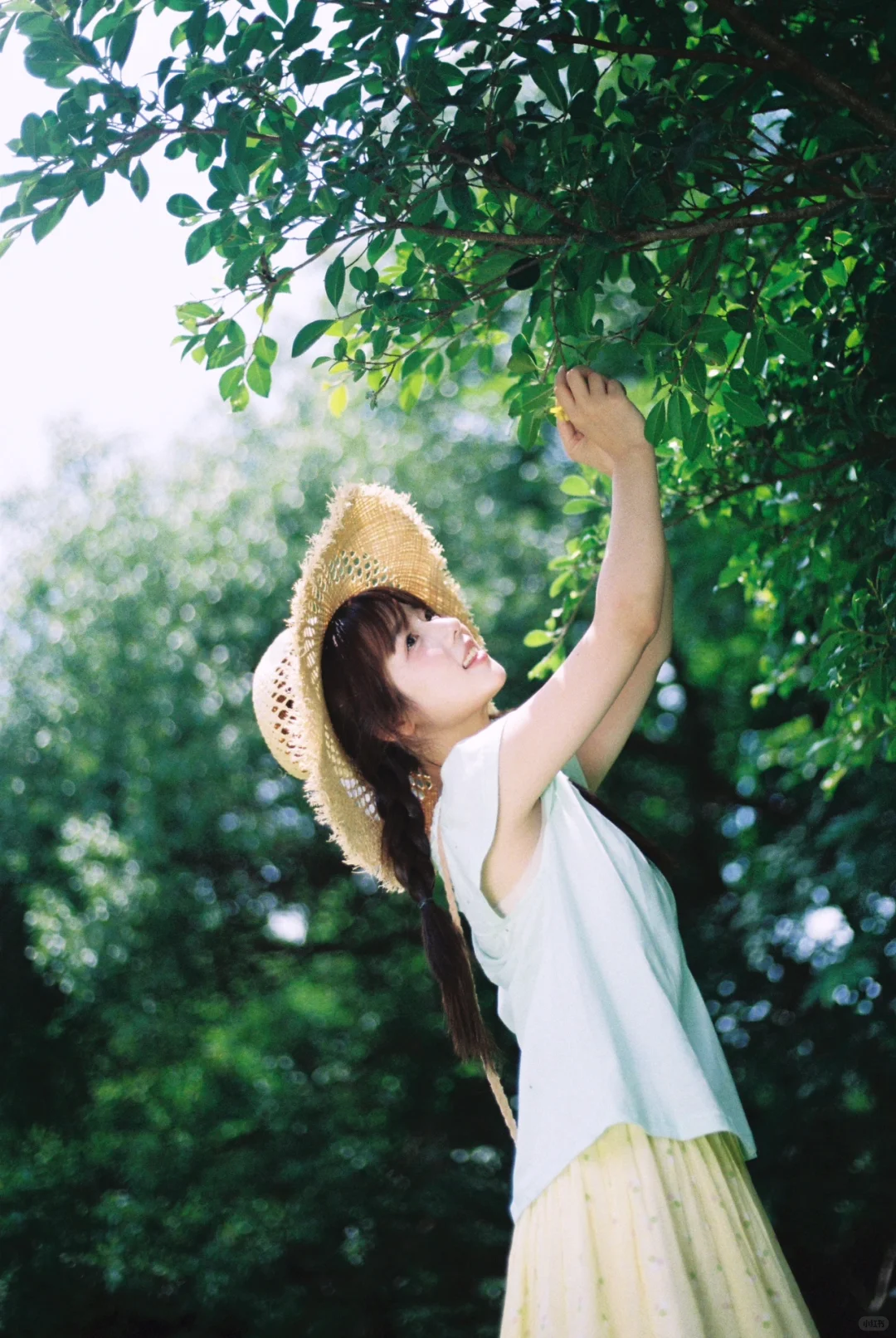 浅尝一口薄荷味道的夏天🍃