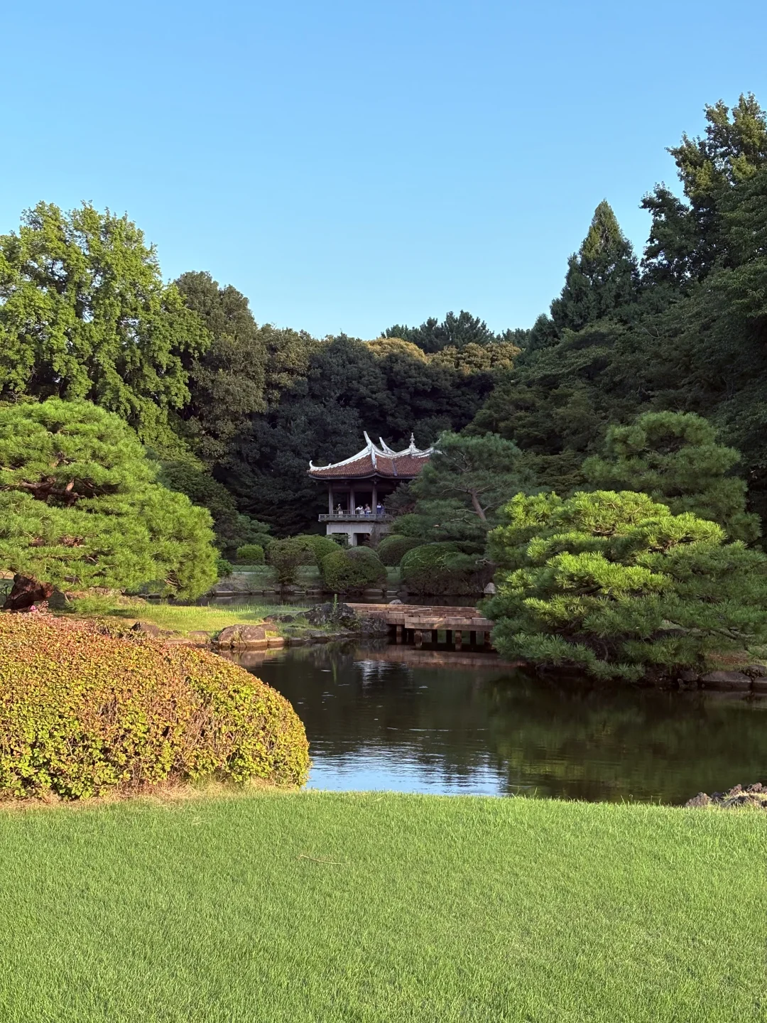 🇯🇵上身基础 下身也基础