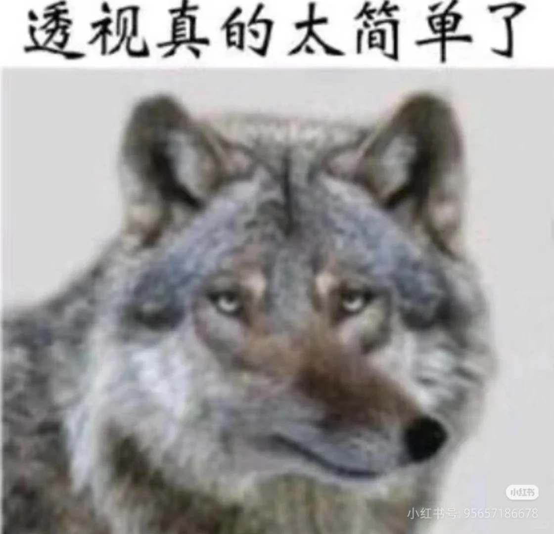 脑子里都是透视真是太简单了😎