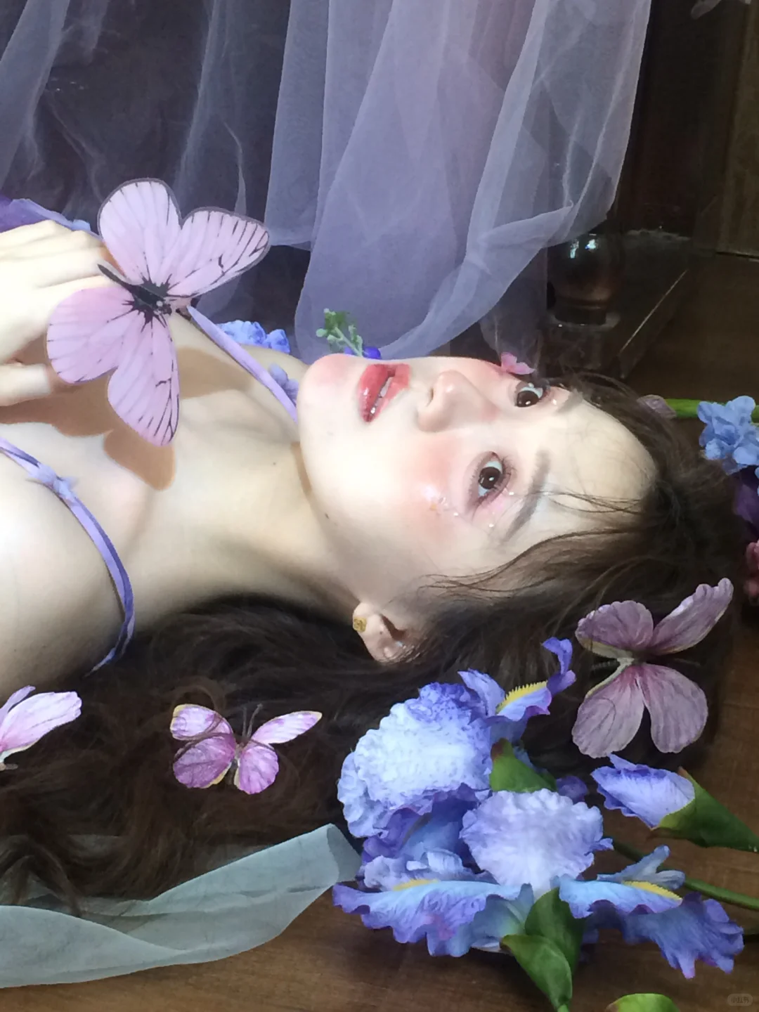 浪漫与自由共振🦋花絮