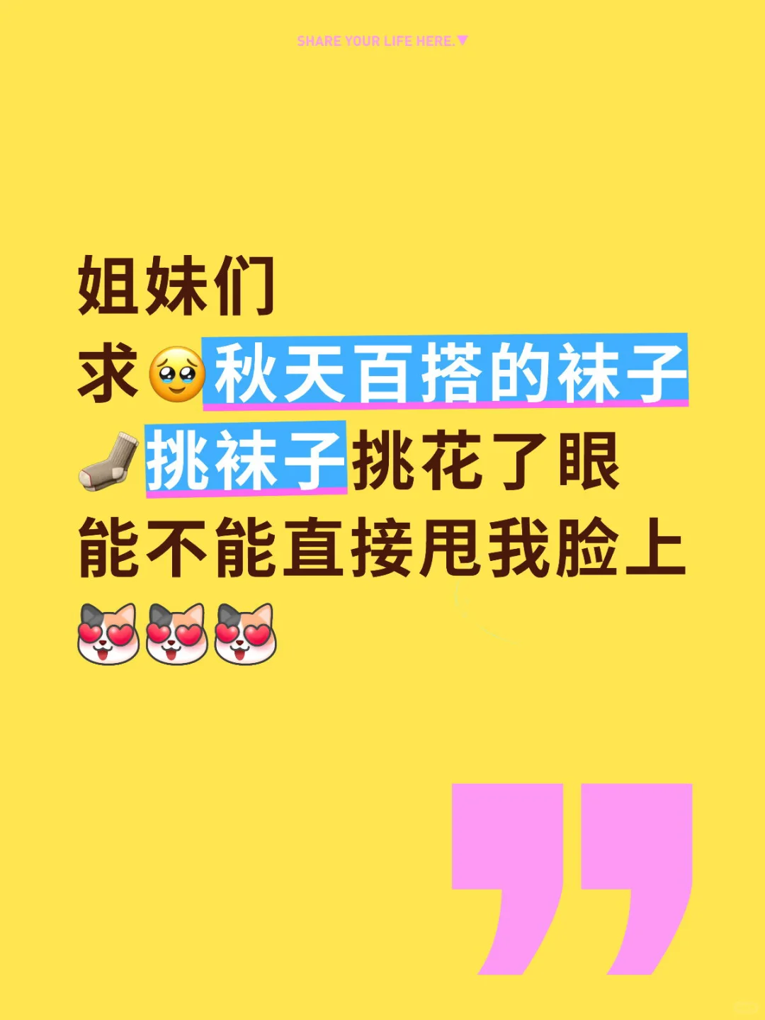 蹲美美的袜子🧦秋天好搭配的袜子在哪！！！