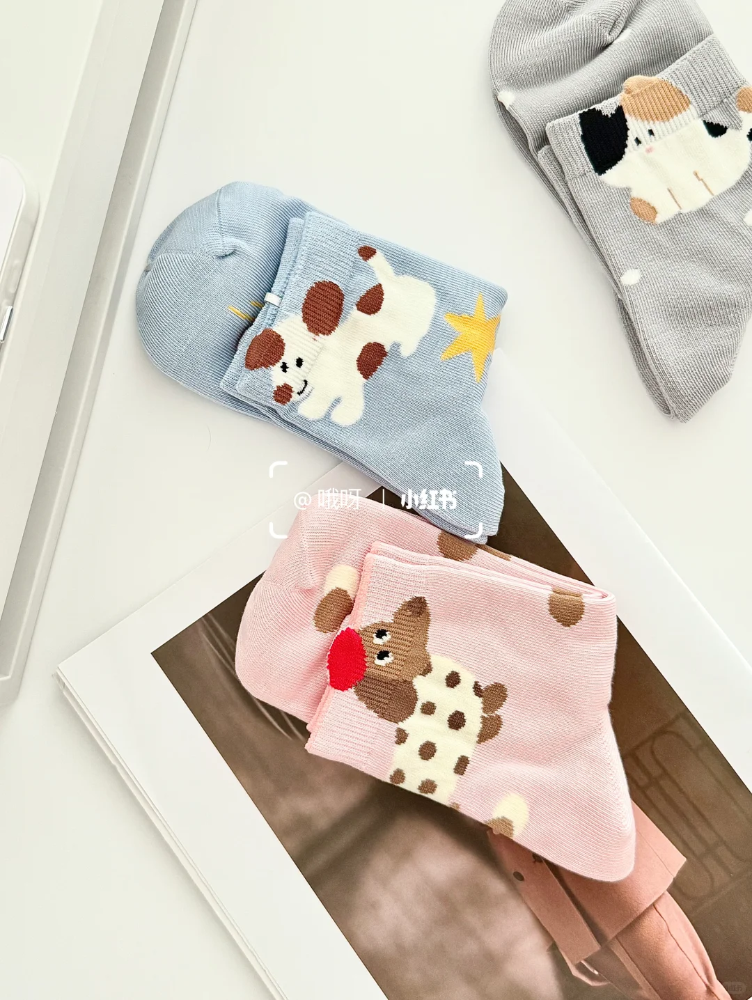 谁懂这种软萌感