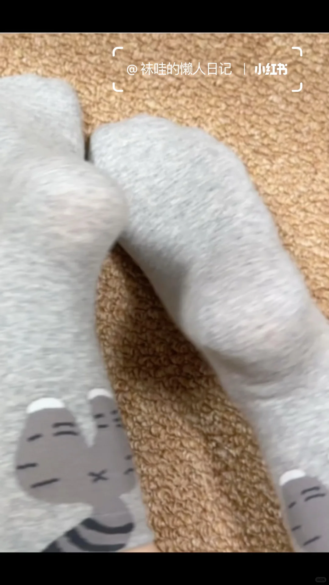 🧦365天·动物图案袜子