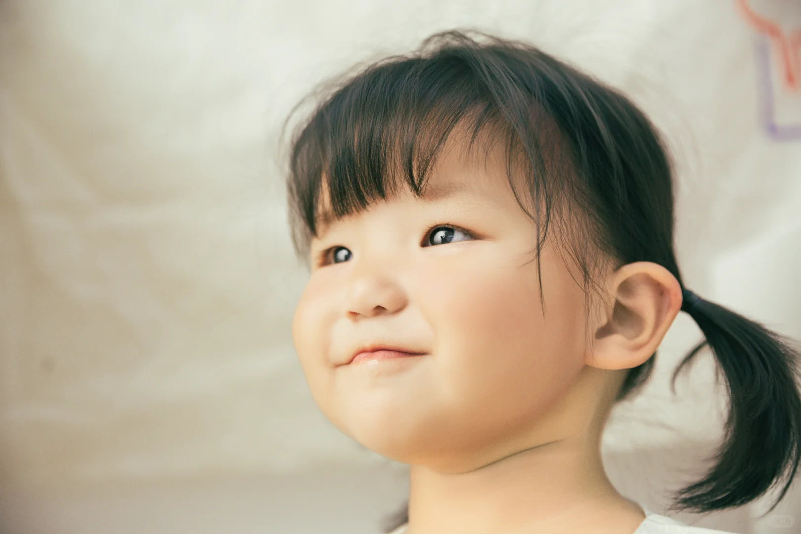 一整个爱住啦！！女鹅的2周岁写真！