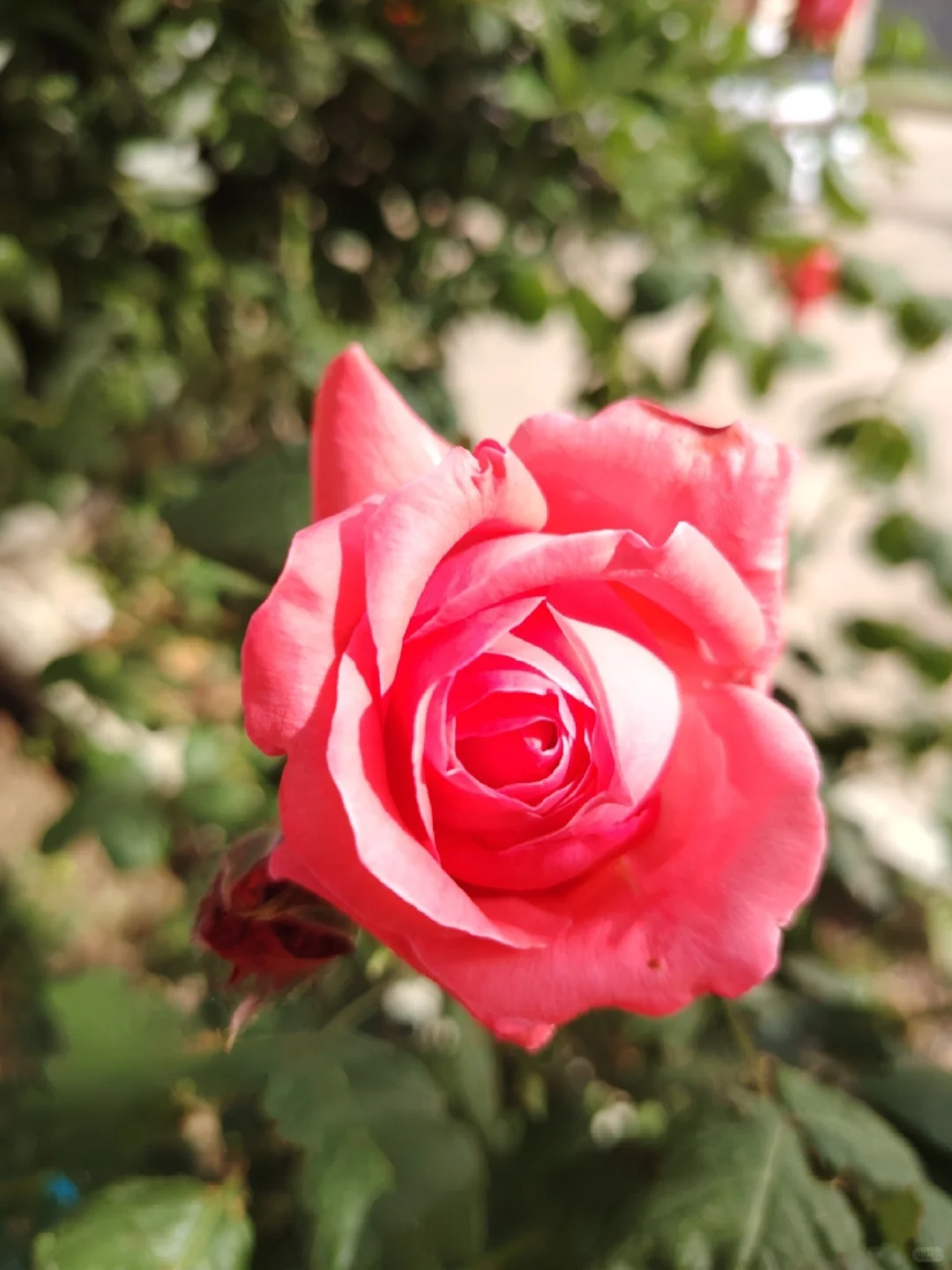 50岁老阿姨了，是否还有人联系