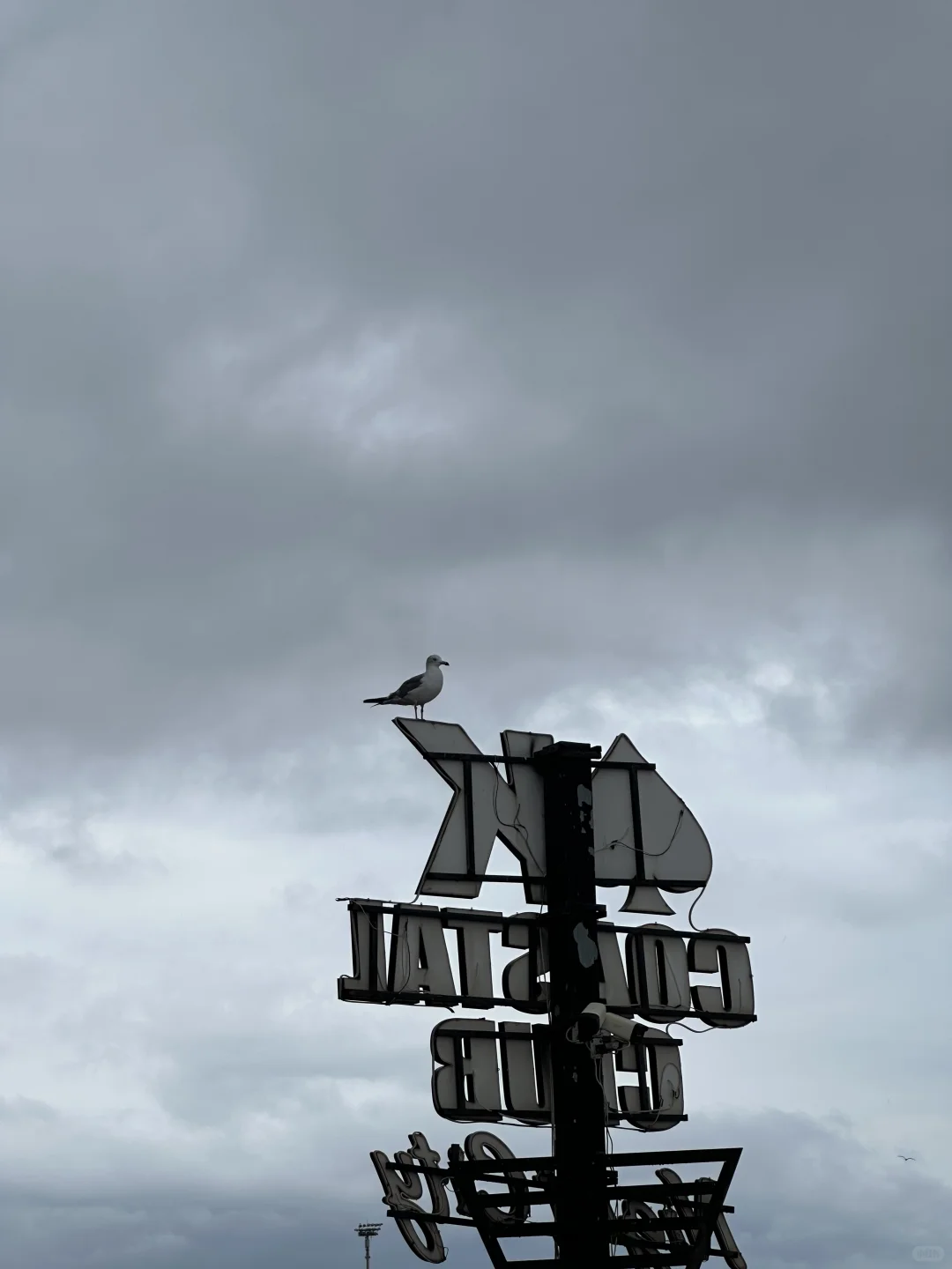 微胖穿搭|🌴啊啊啊是喜欢的感觉！简单松弛～