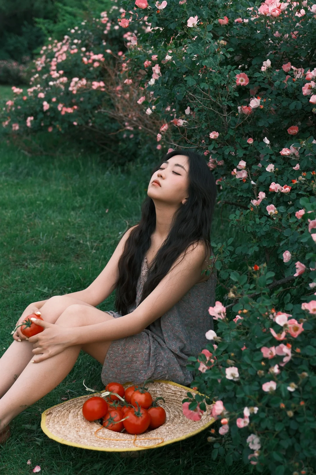 初夏少女蕃茄氛围感写真｜富士附参数