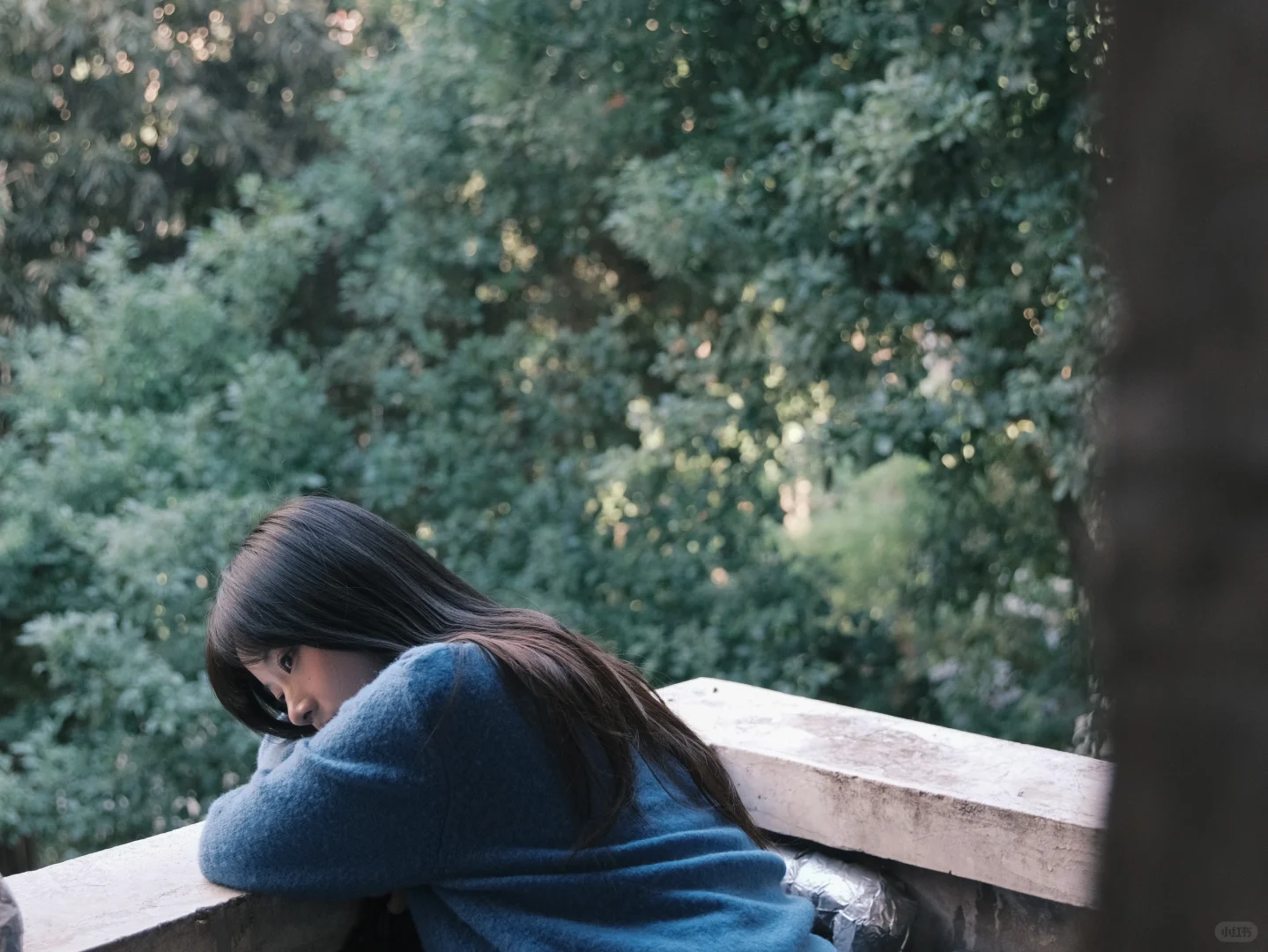 你眼睛的面积一定小于湖