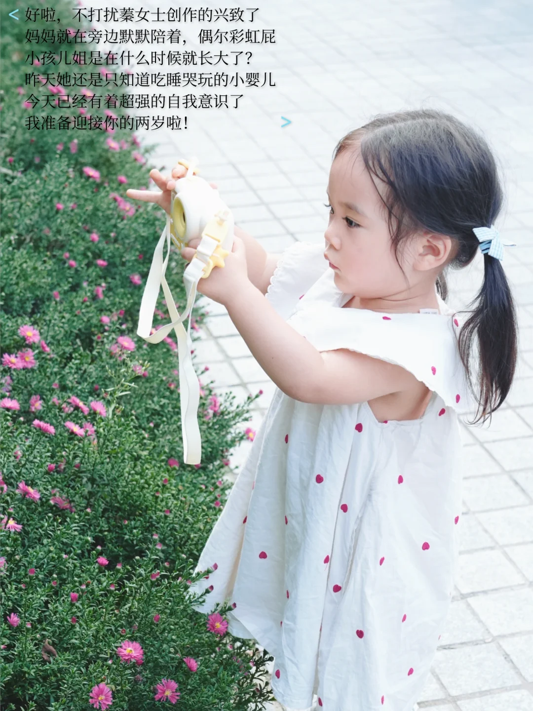 星河湾2岁女摄上线📷我也有摄影搭子啦👏