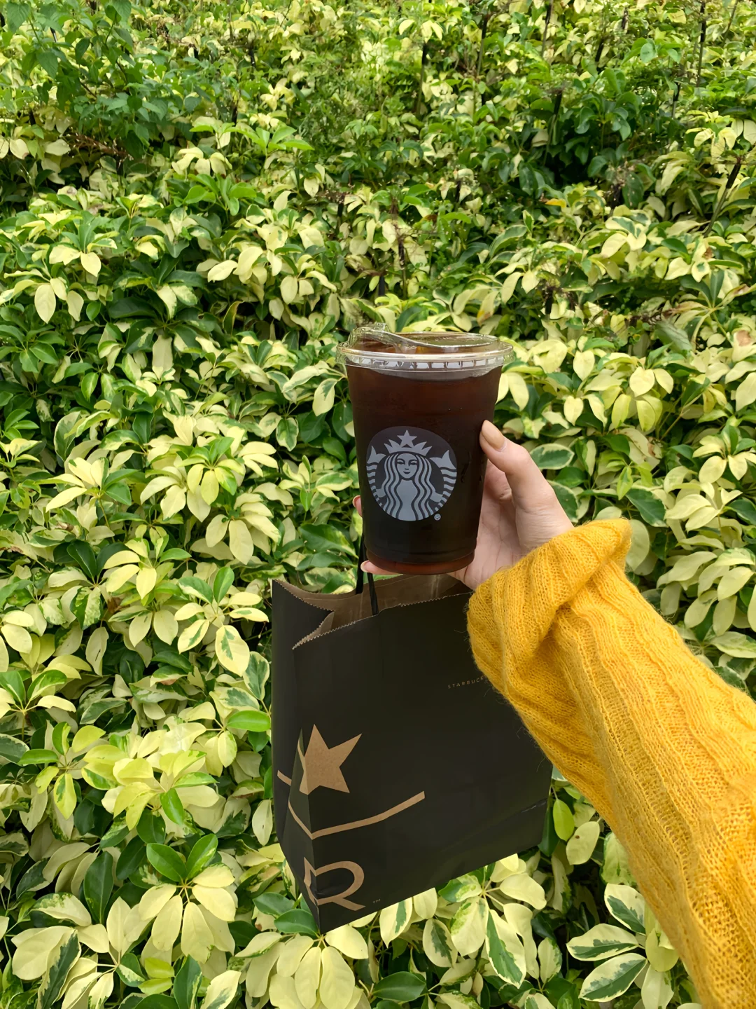 秋天的感觉来了🍂