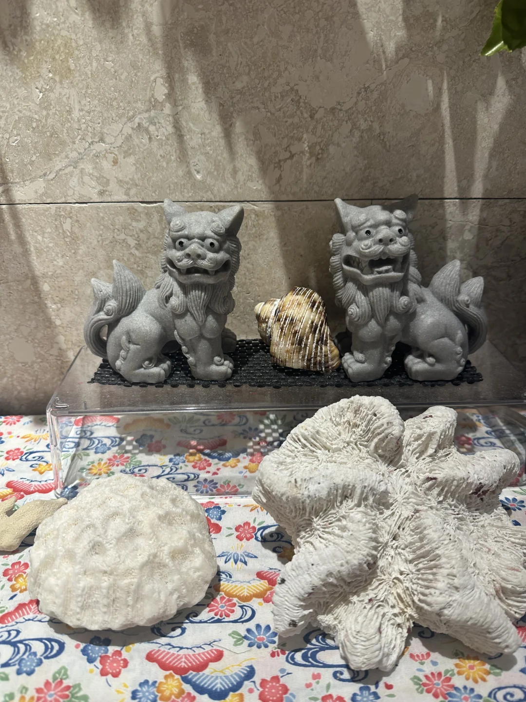 女朋友是最好的摄影师