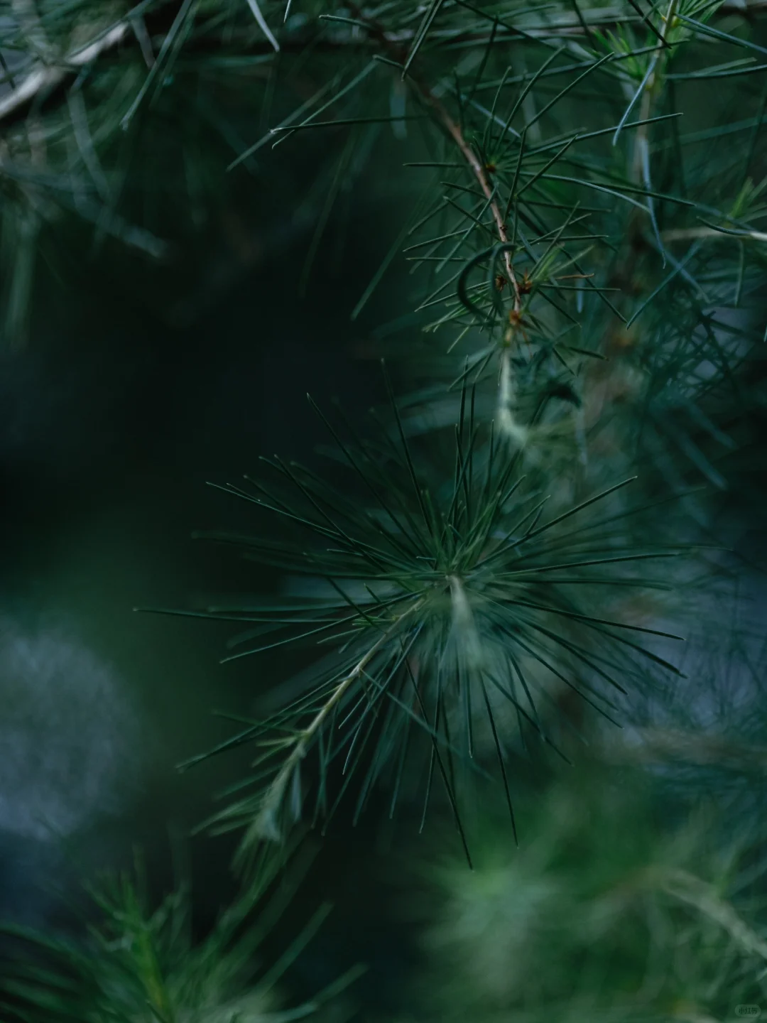 做一个allblack女摄影，活出自己喜欢的样子