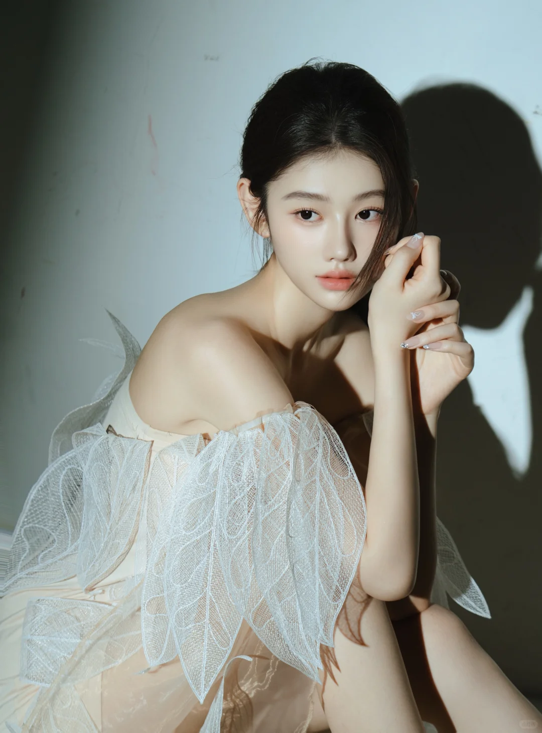 凡有所相，皆是虚妄🫧