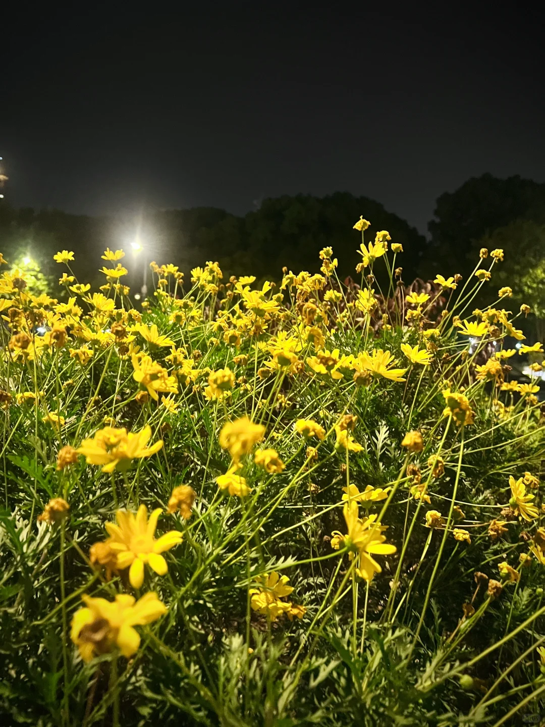 爱拍照的女孩子能有什么坏心思捏😛