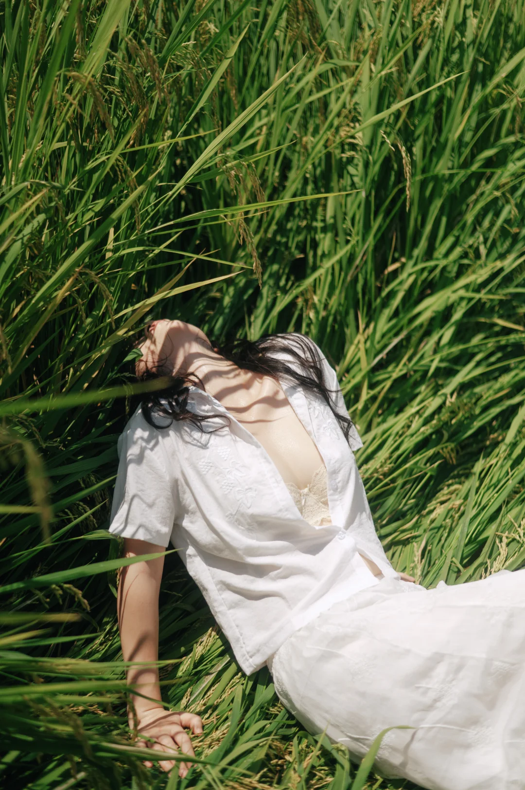 稻田里的少女｜盛夏的果实｜长沙拍照