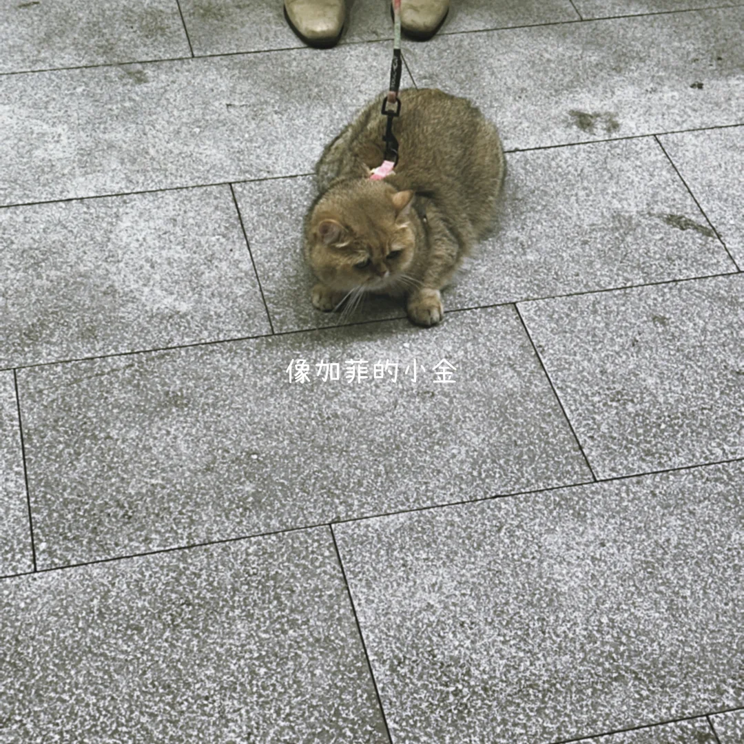 冷了就穿件大外套吧