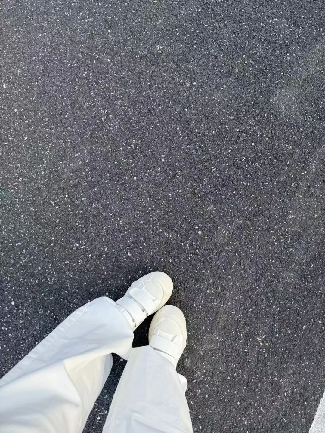 秋日温柔氛围感～