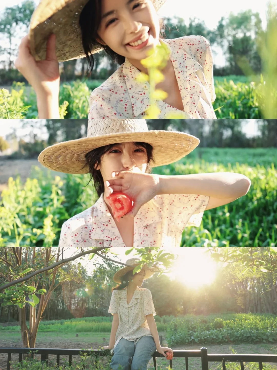 摄影审美积累|day65