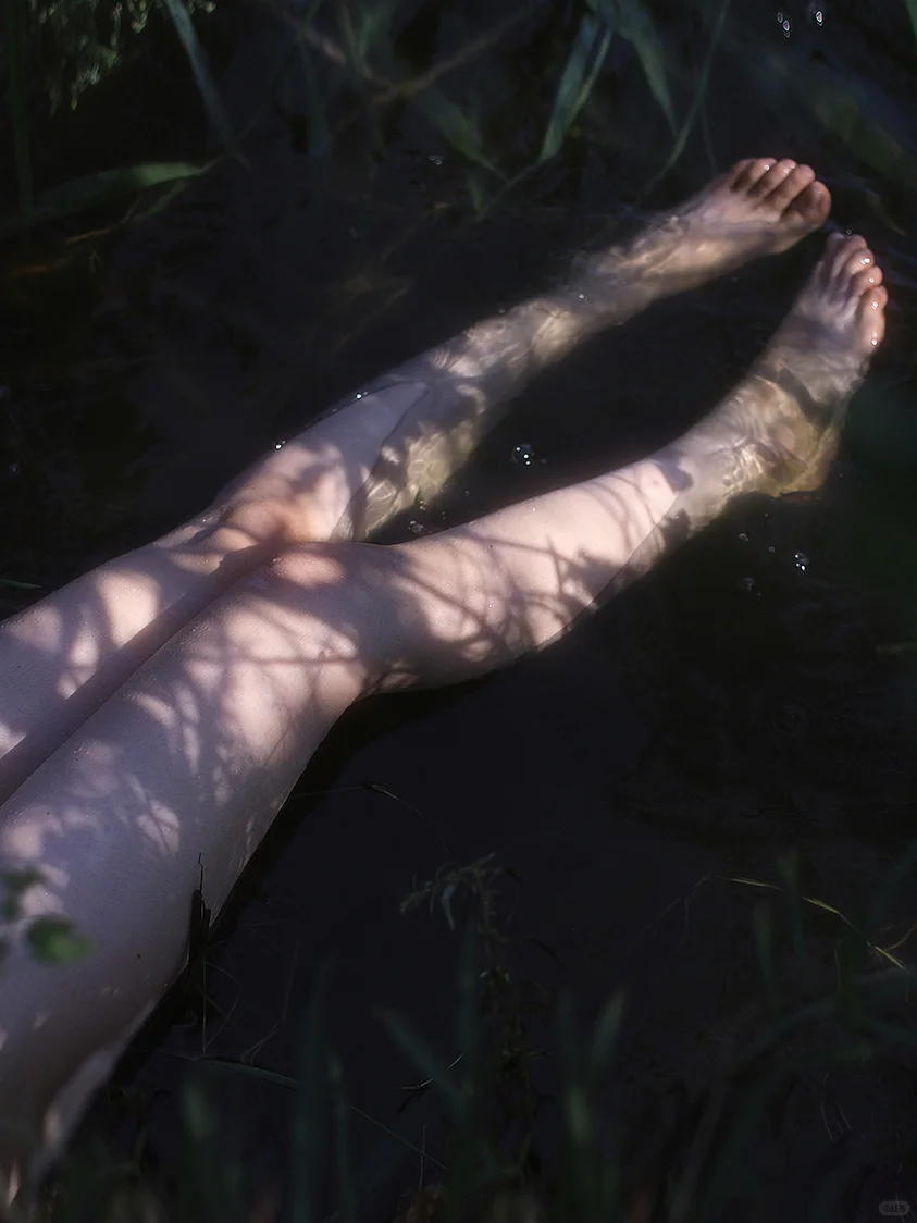 ✨不妨逃入奇幻仙境 做一场不可思议的梦