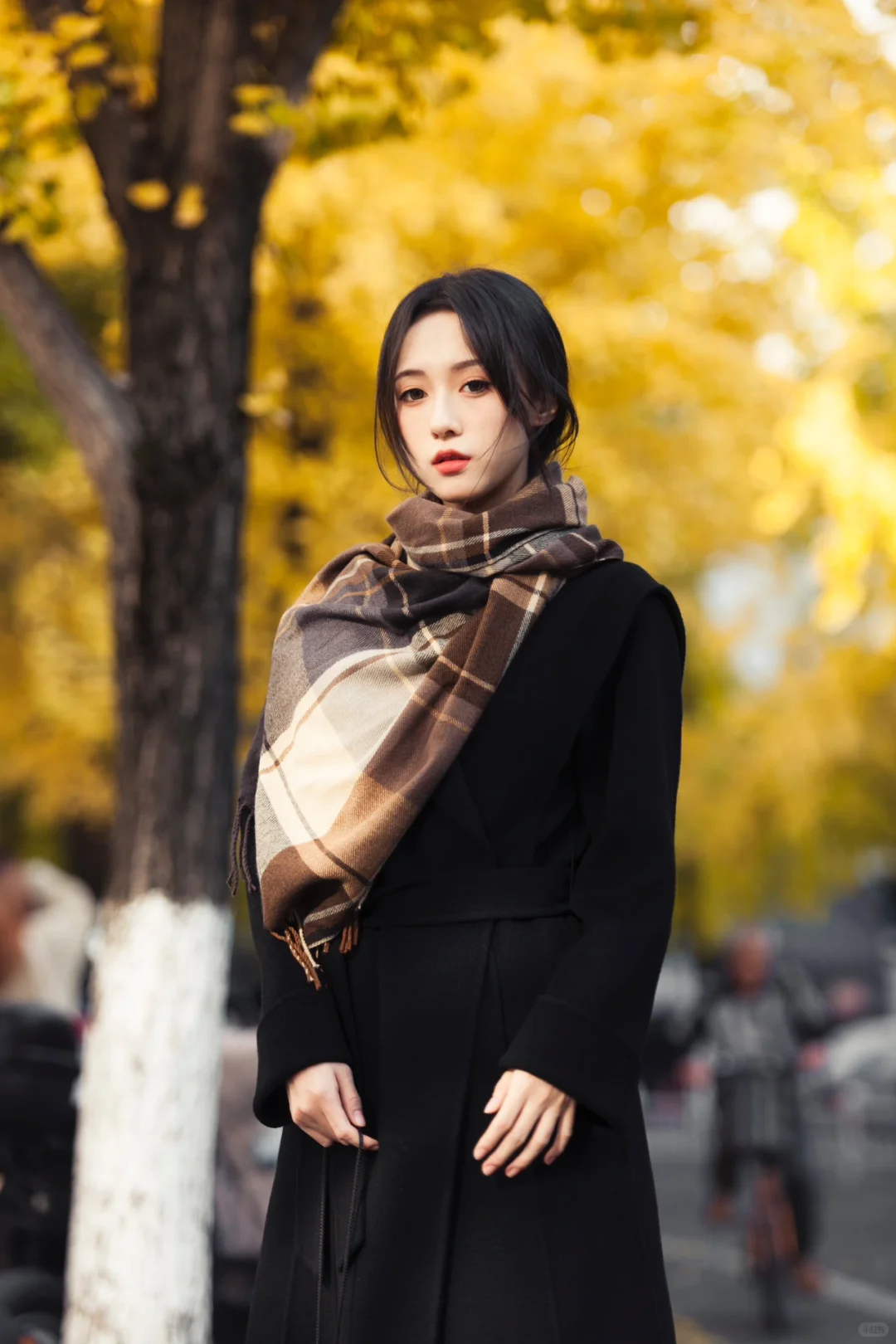 银杏叶黄，秋风无恙