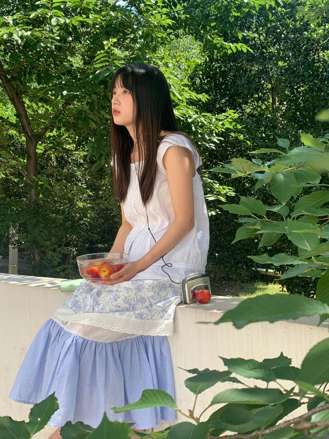 夏日氧气森林🫧