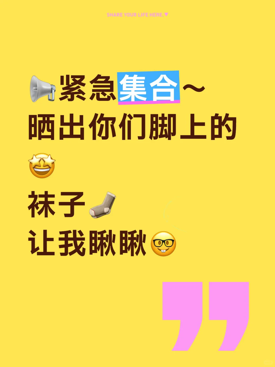 蹲一蹲美美的袜子🧦