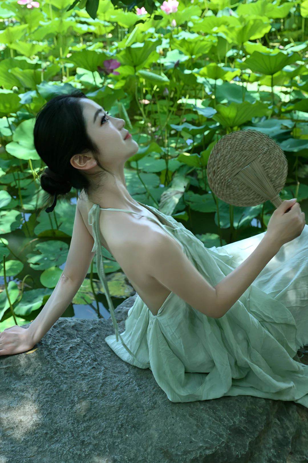 荷花不知道 自己便是夏天🪷