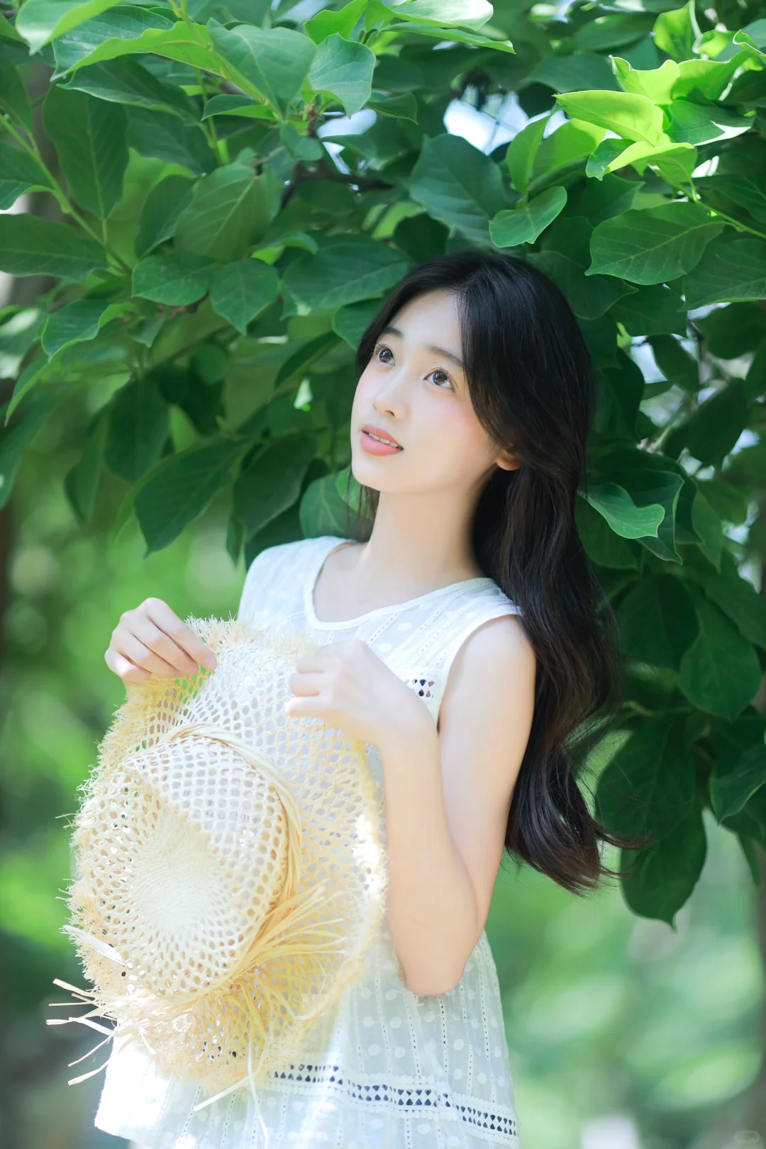 落入无尽的蝉鸣与盛夏