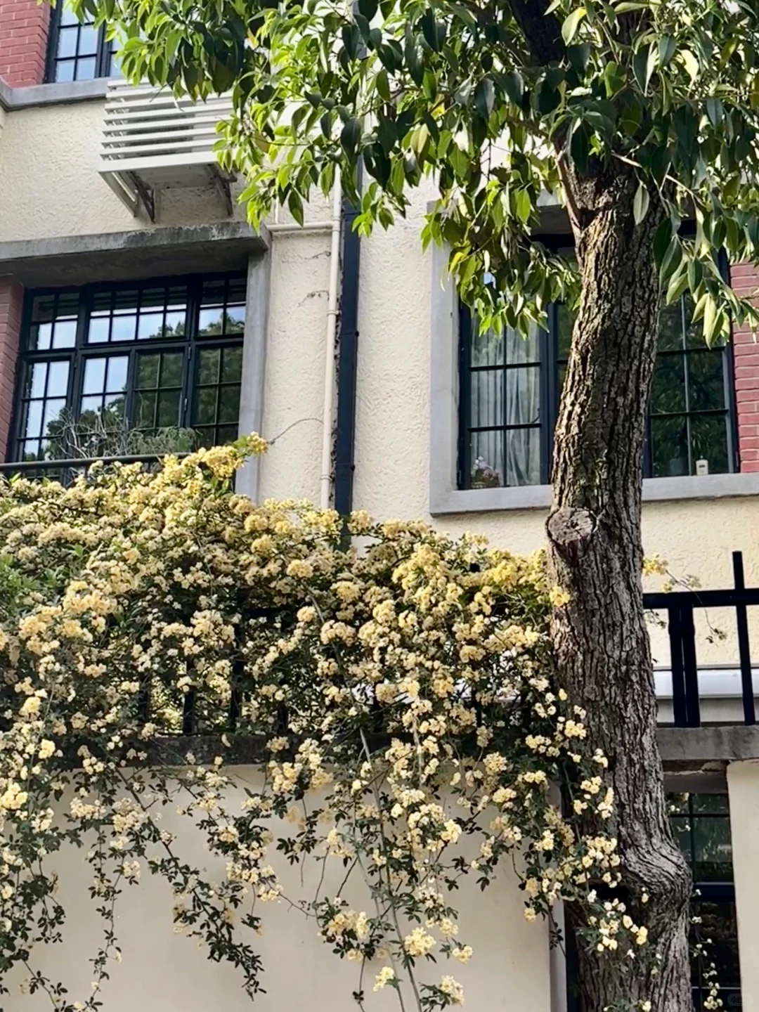 🌱 spring throw back