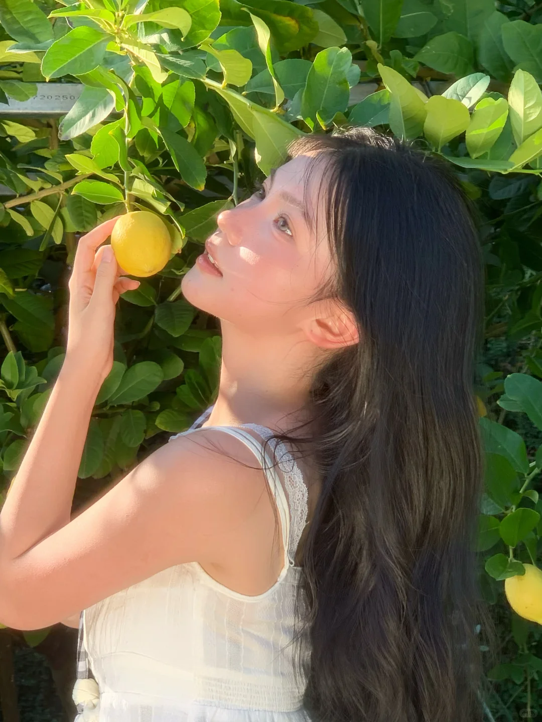 头像感照片精髓✨初秋少女写真