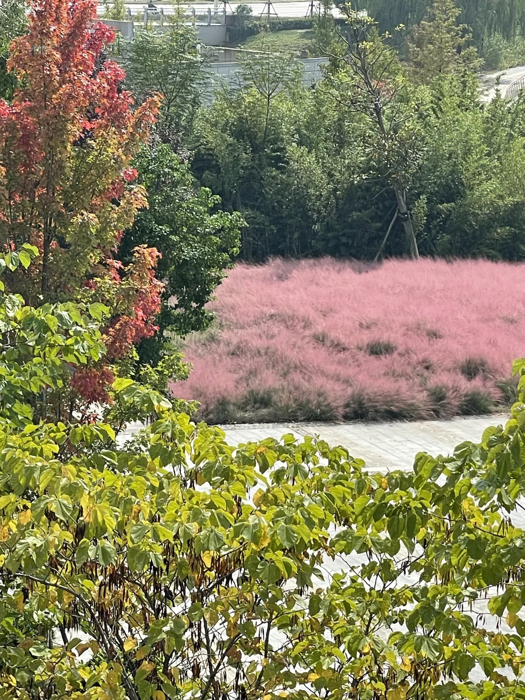 身高170 踩着八公分高跟鞋的女人