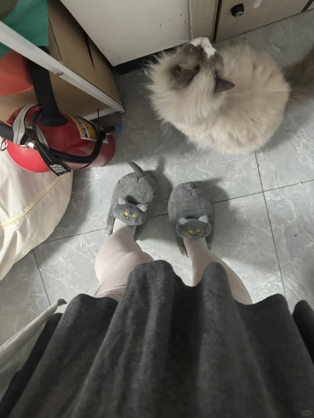 微胖穿搭之-白丝吊带袜