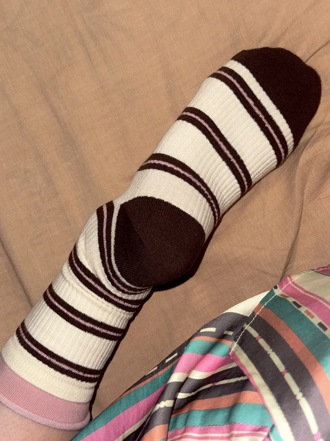 kitty袜子统治区混入了甜甜圈🍩🍩🍩