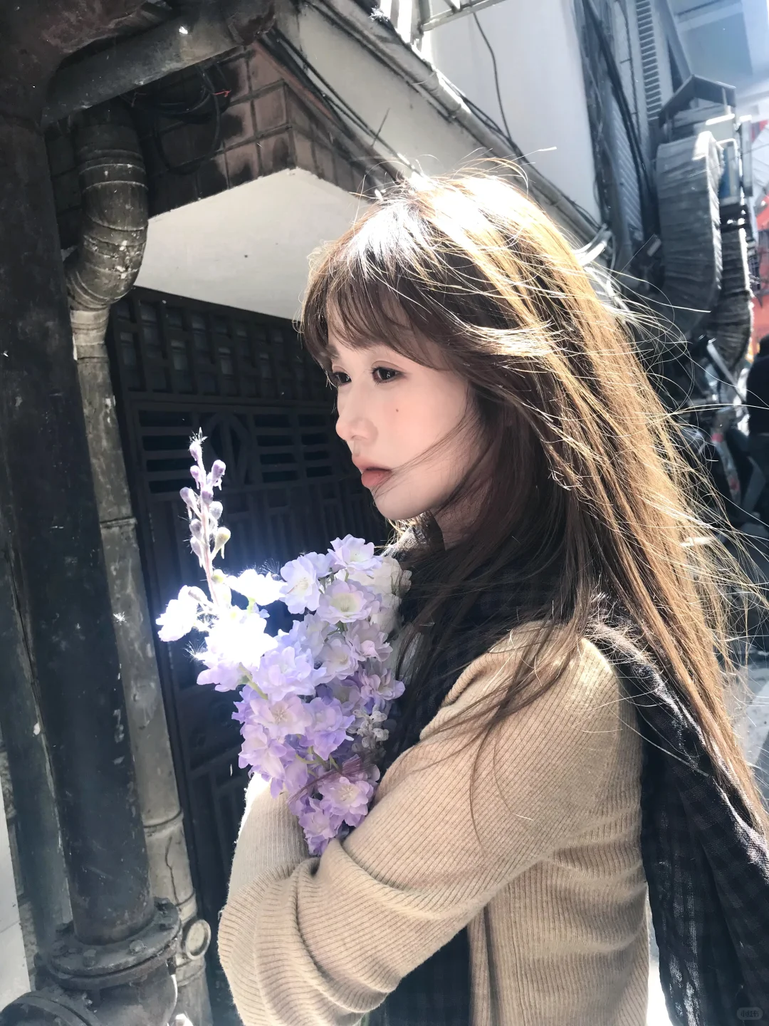 18w人看过的图片版～